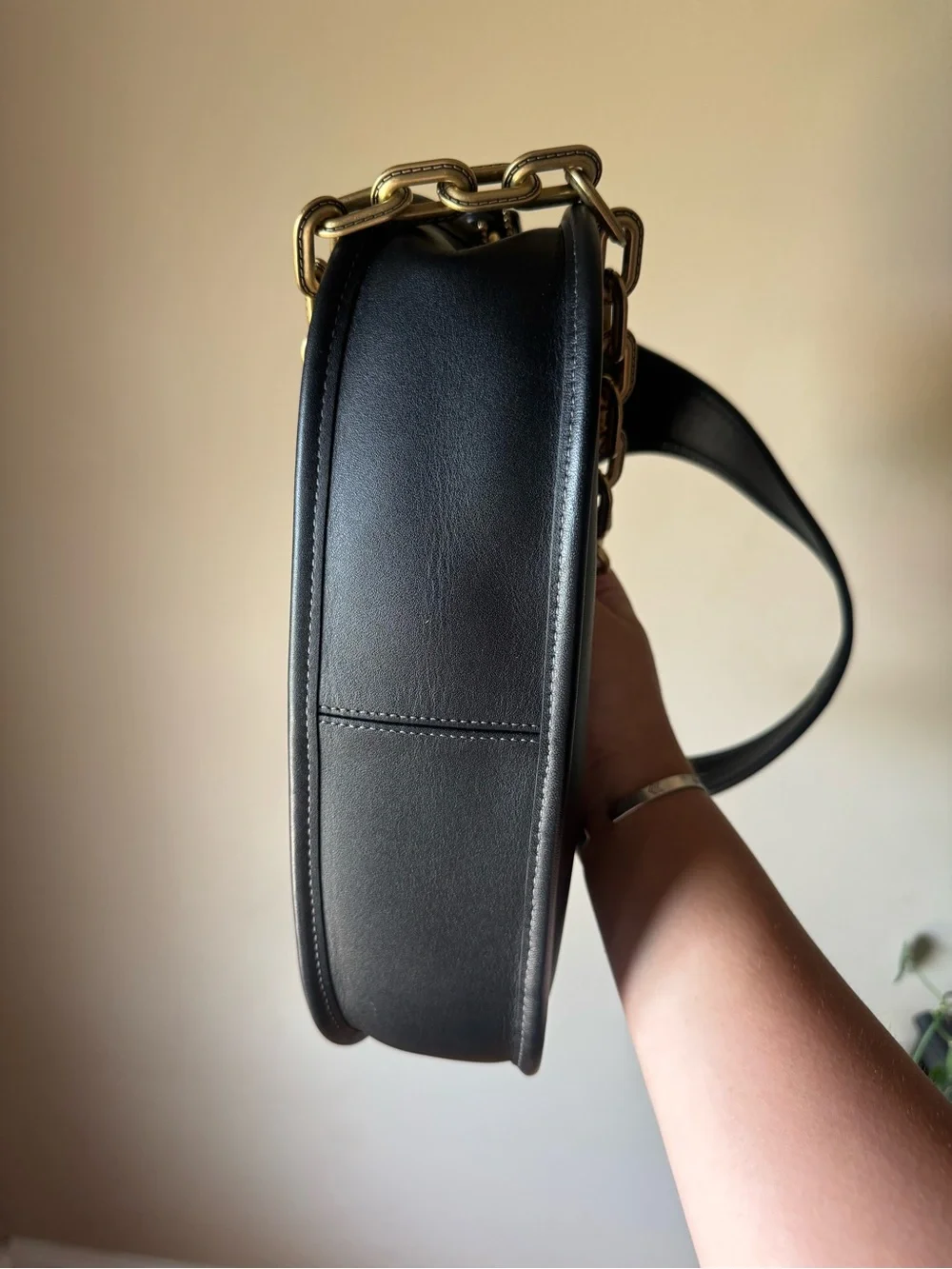 Coach cashin carry crescent bag